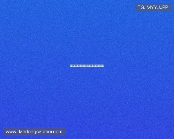 德甲新赛季揭幕战精彩纷呈 引发球迷热烈期待与讨论